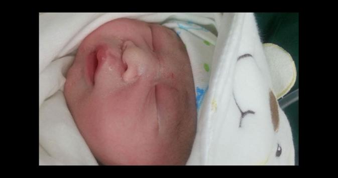 Babies Photo