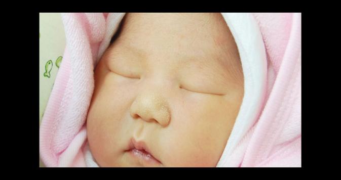 Babies Photo