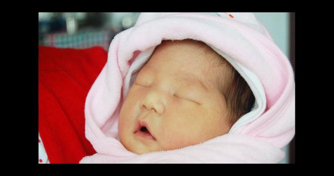 Babies Photo